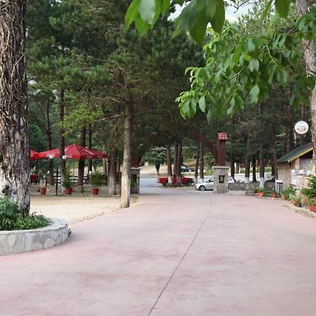 Hamiti Camping Center Dukat Ngoại thất bức ảnh