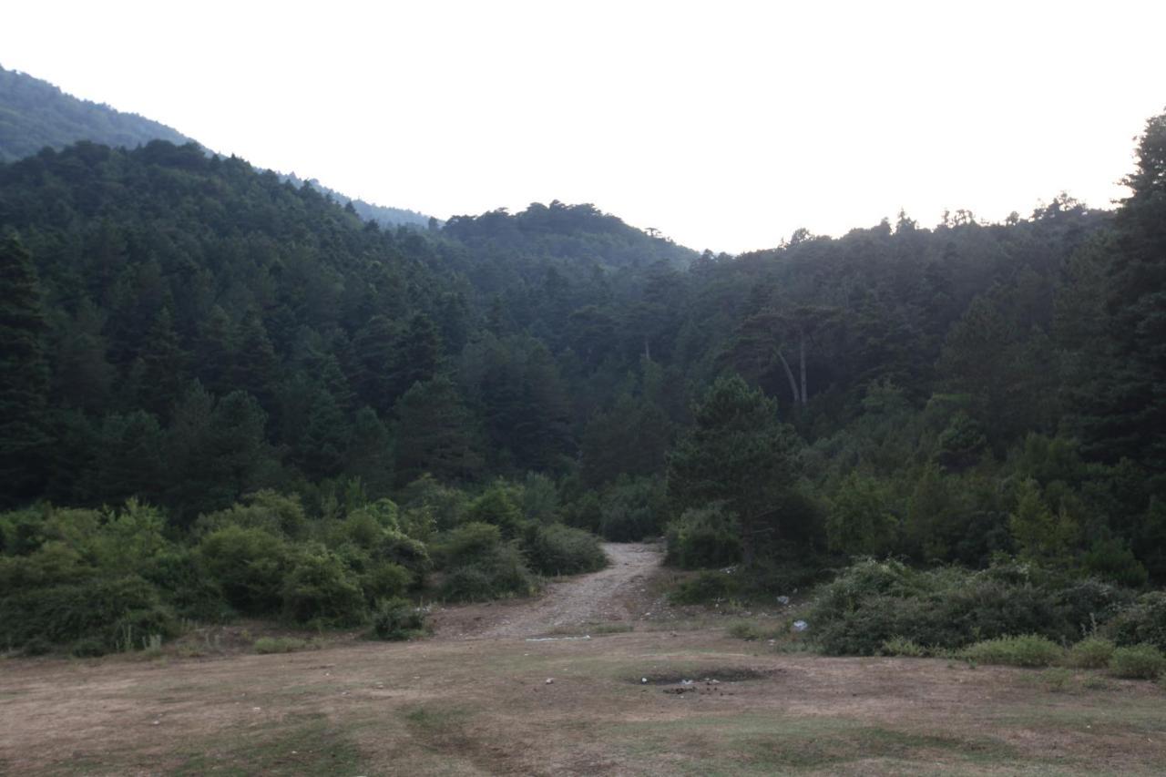 Hamiti Camping Center Dukat Ngoại thất bức ảnh