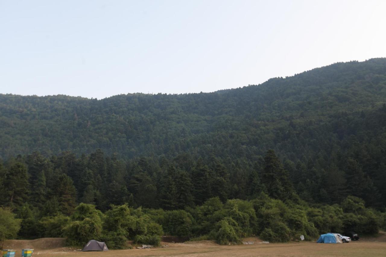 Hamiti Camping Center Dukat Ngoại thất bức ảnh