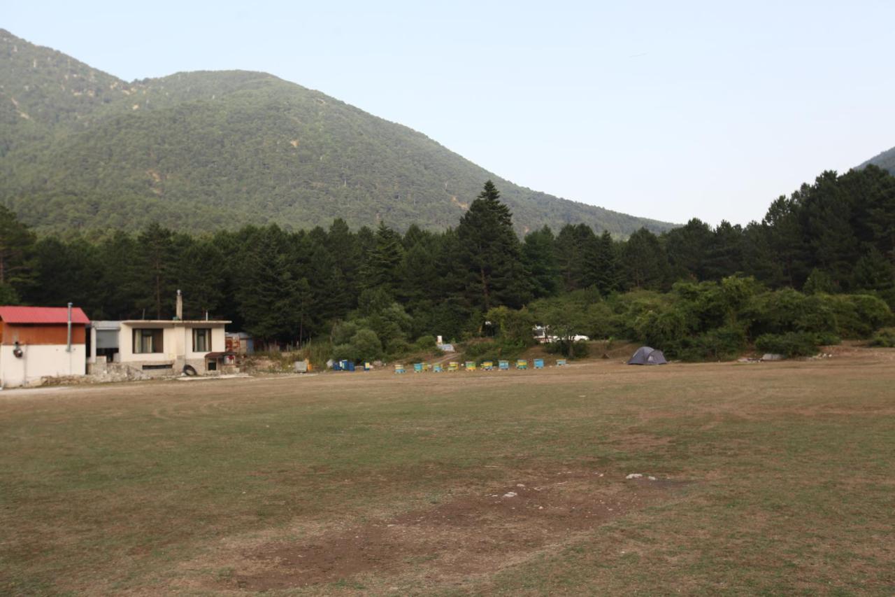 Hamiti Camping Center Dukat Ngoại thất bức ảnh